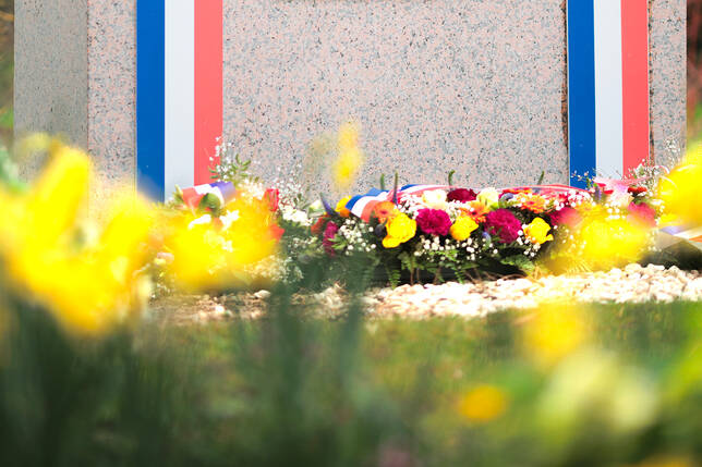 journée de la terre