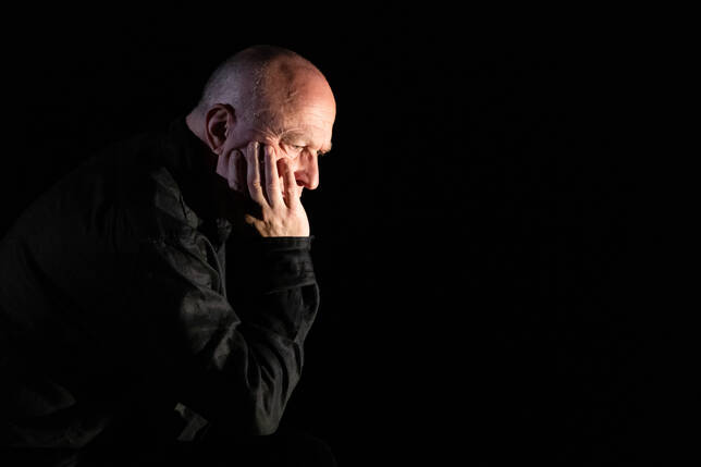 Montaigne - Les essais (par Hervé Briaux)