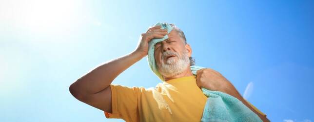 Vigilance canicule : la Ville agit !